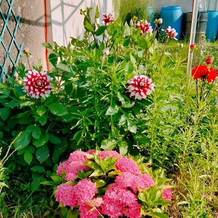 Meublé Neuf, Près De Paris Et Beauvais Appartamento Amblainville